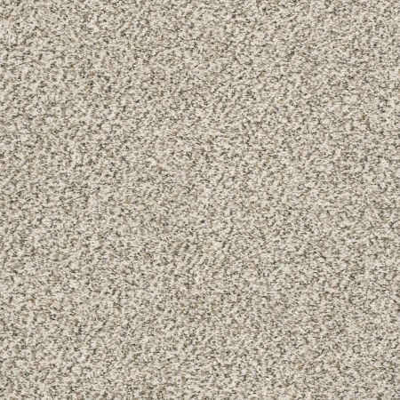 Shaw Floors Simply The Best All Set II Goose Feather