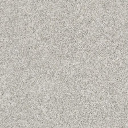 Shaw Floors Simply The Best All Over It I Net Dove