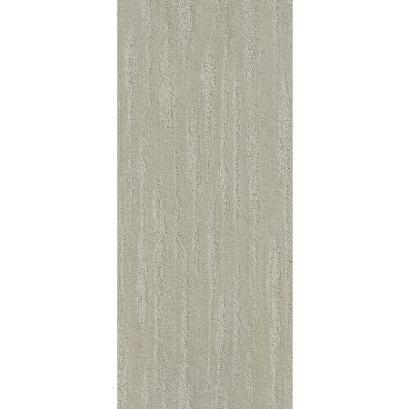 Shaw Floors Simply The Best All The Way Net Classic Taupe
