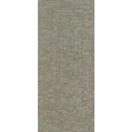 Shaw Floors Simply The Best All In One Net Beach Sand