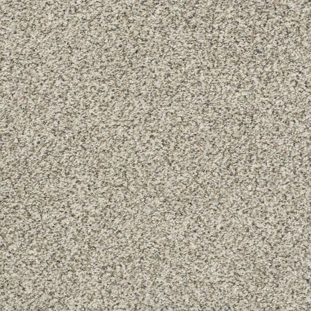 Shaw Floors Simply The Best All Set II Net Atlantic Sand