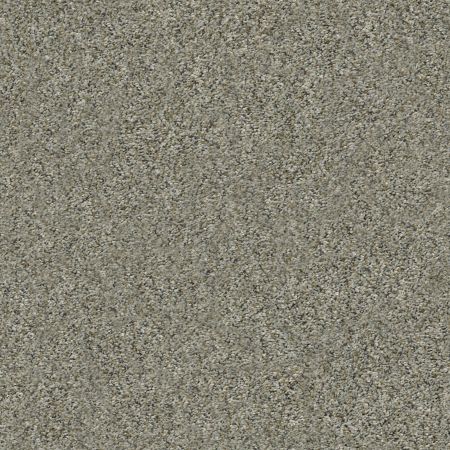 Shaw Floors Simply The Best All Set II Net Beach Walk