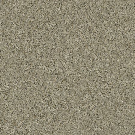 Shaw Floors Simply The Best All Set II Net Tree House