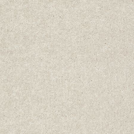 Shaw Floors Value Collections Nantucket Summer 12' Taupe