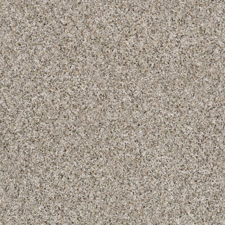 Shaw Floors Value Collections Orchard Picking Glacier