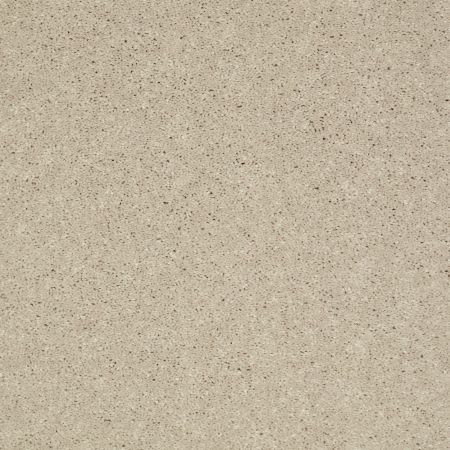 Shaw Floors Value Collections Main Stay 12' Ecru