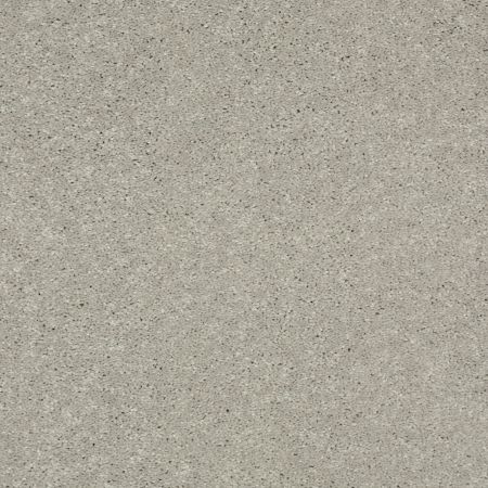 Shaw Floors Value Collections Main Stay 12' Dove Tail