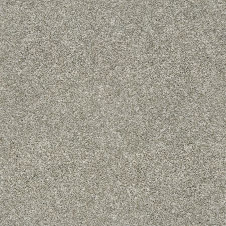 Shaw Floors Value Collections Frappe I London Fog