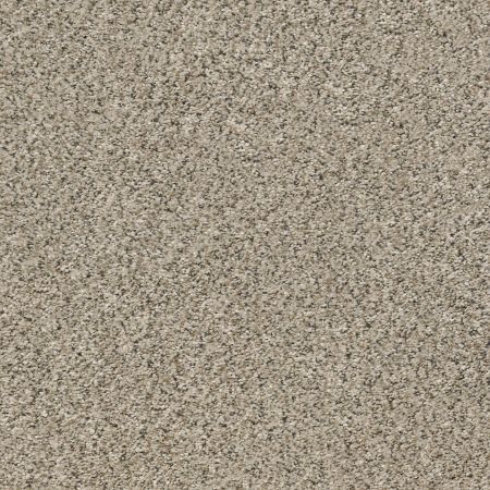 Shaw Floors Value Collections Marks The Spot II River Rock