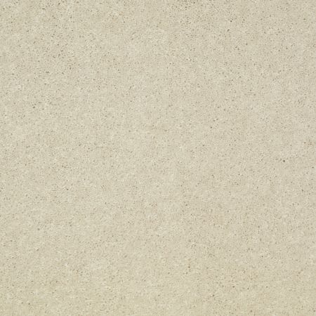 Shaw Floors Value Collections Main Stay 15' Fresco