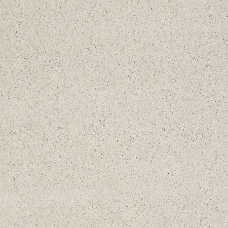 Shaw Floors Value Collections Cashmere Classic I Net Suffolk