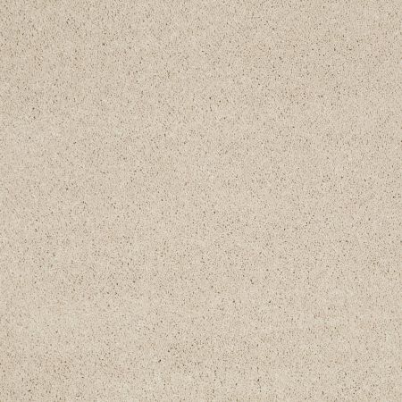 Shaw Floors Value Collections Cashmere Classic I Net Cheviot