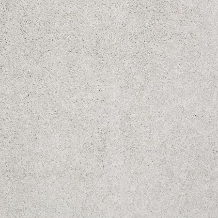 Shaw Floors Value Collections Cashmere Classic I Net Silver Lining