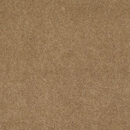 Shaw Floors Value Collections Cashmere Classic I Net Navajo