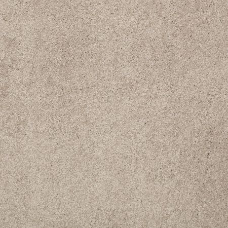 Shaw Floors Value Collections Cashmere Classic I Net White Pine