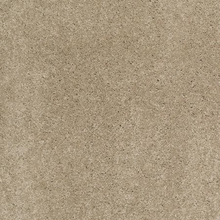 Shaw Floors Value Collections Cashmere Classic I Net Pecan Bark