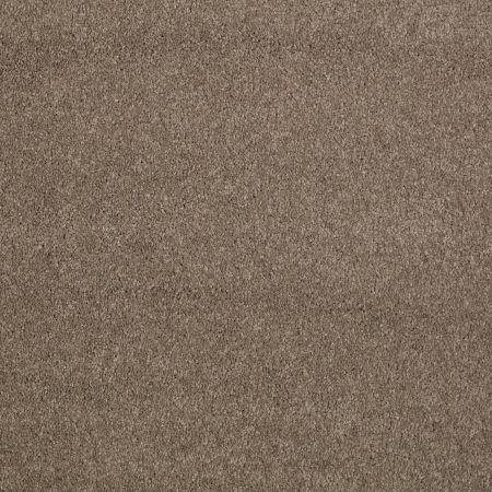 Shaw Floors Value Collections Cashmere Classic I Net Mesquite