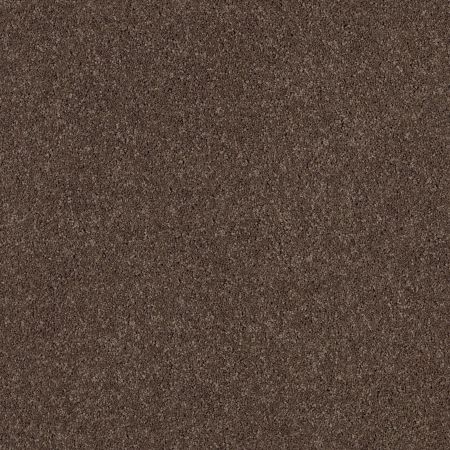 Shaw Floors Value Collections Cashmere Classic I Net Spring - Wood