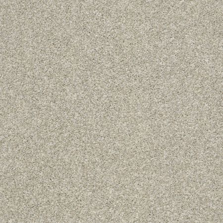 Shaw Floors Cabana Bay Tonal Ecru