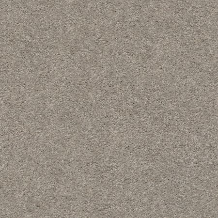 Shaw Floors Simply The Best Cabana Life Solid Perfect Taupe