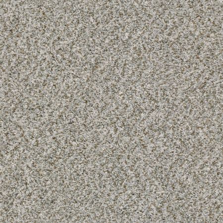 Shaw Floors Simply The Best Cabana Life (b) Stone