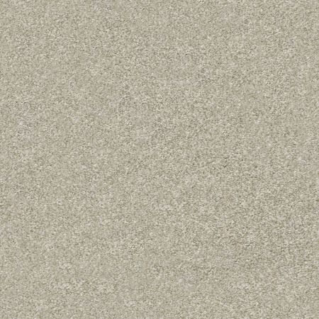 Shaw Floors Simply The Best Attainable Desert Light