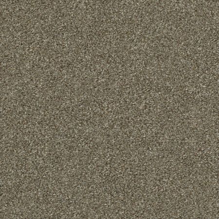 Shaw Floors Simply The Best Attainable Fox Hollow