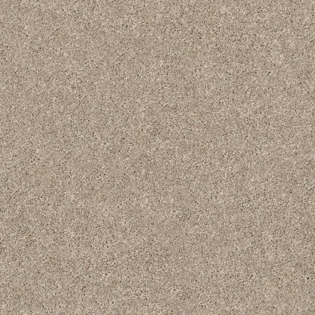 Shaw Floors Simply The Best Momentum I High Beam