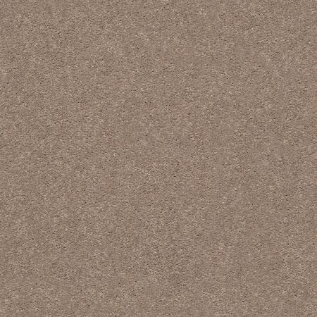 Shaw Floors Simply The Best Momentum I Canyon Buff