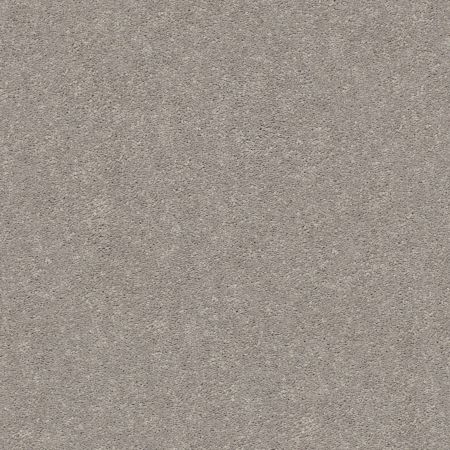 Shaw Floors Simply The Best Momentum II Canopy