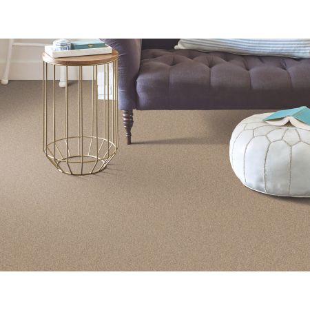 Shaw Floors Simply The Best Momentum II Canyon Buff