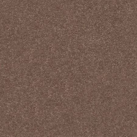 Shaw Floors Simply The Best Momentum II Farmhouse