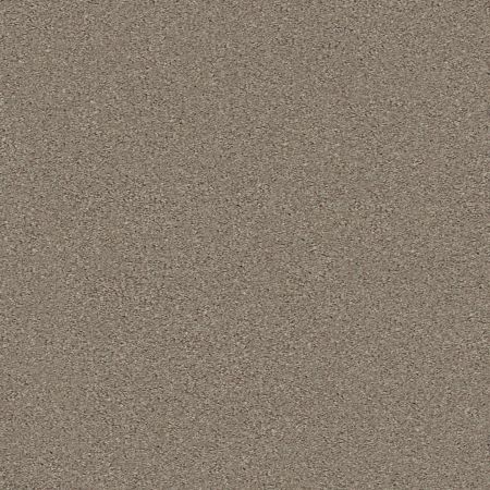 Shaw Floors Simply The Best Momentum II Hickory Manor