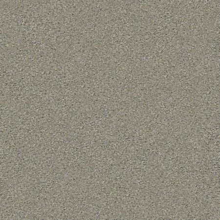 Shaw Floors Simply The Best Momentum II Rockslide