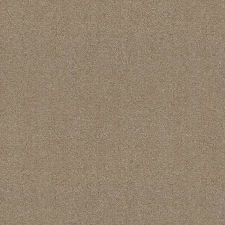 Shaw Floors Value Collections This Is It Plus Net Pebble Walk