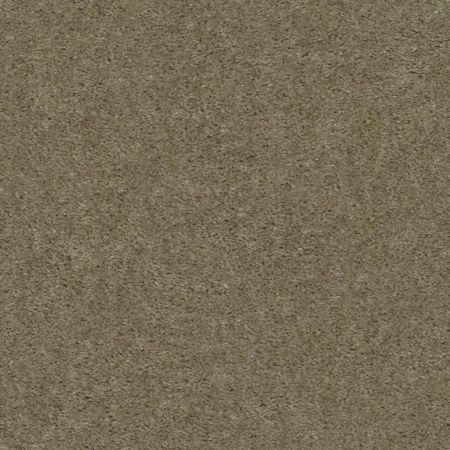 Shaw Floors Value Collections This Is It Plus Net Creek Side