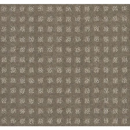 Shaw Floors SFA The Fair Soft Clay