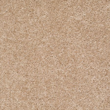 Shaw Floors SFA Ocean Pines 12' Quiet Splendor