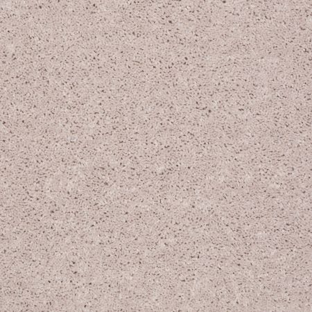 Shaw Floors SFA Drexel Hill III 12' Angel Cloud