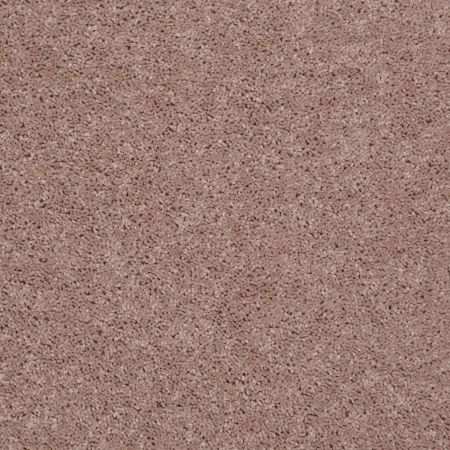 Shaw Floors SFA Drexel Hill III 12' Tassel