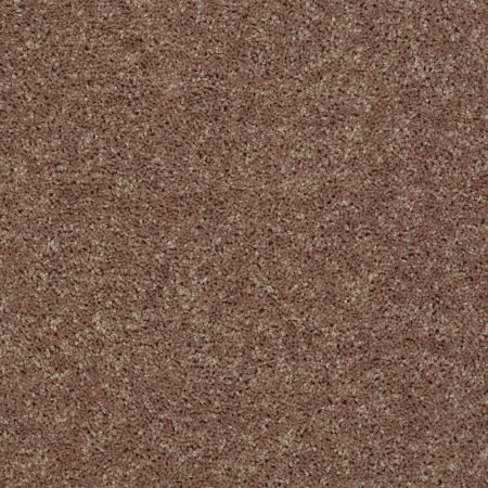 Shaw Floors SFA Drexel Hill III 12' Granola