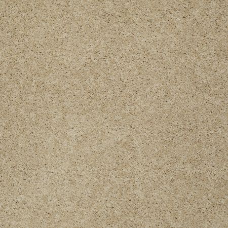 Shaw Floors SFA Loyal Beauty I Mesa