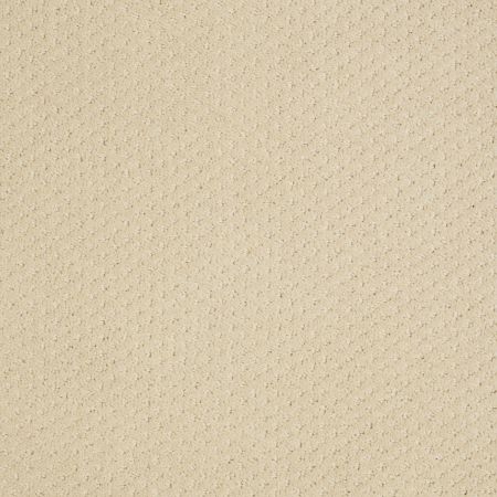 Shaw Floors SFA Square One Linen