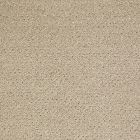 Shaw Floors SFA Square One Wool Skein