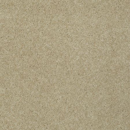 Shaw Floors SFA My Inspiration II Beach Walk