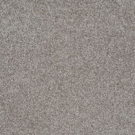 Shaw Floors SFA Dakota Springs Pewter