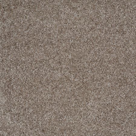 Shaw Floors SFA Dakota Springs Driftwood