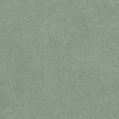 Shaw Floors SFA Source II Daydream