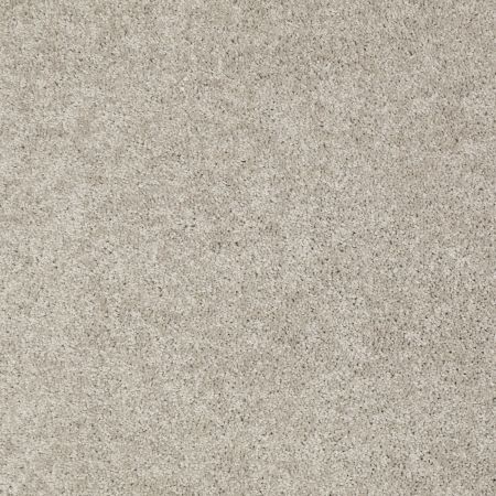 Shaw Floors SFA Source II Silver Shadow