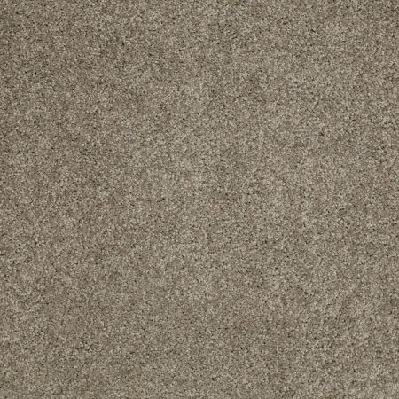 Shaw Floors SFA Source II Elephant